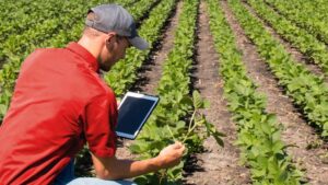 A man doing testing of the soil in agriculture land